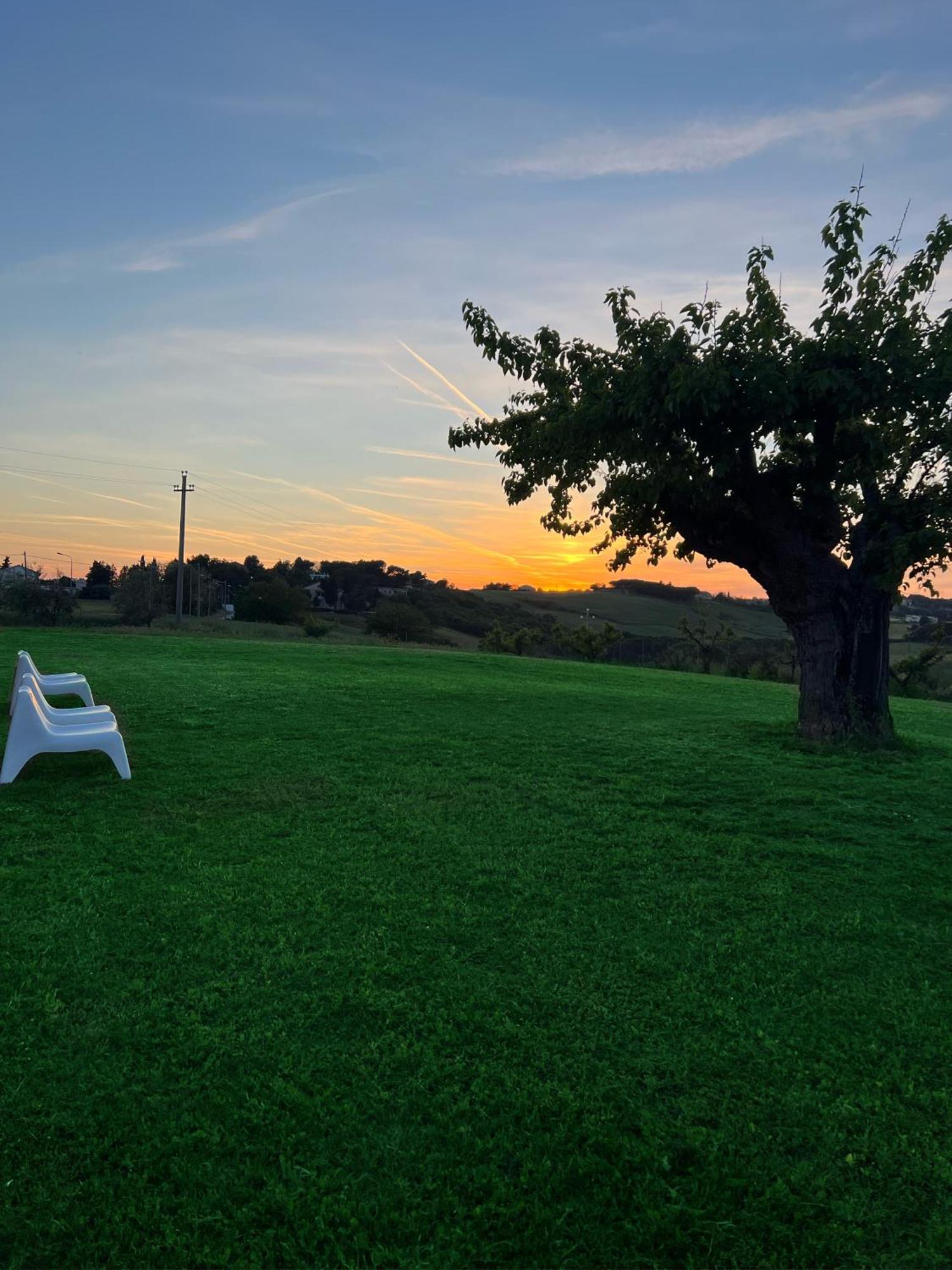 Agriturismo Le Grange Нумана Экстерьер фото